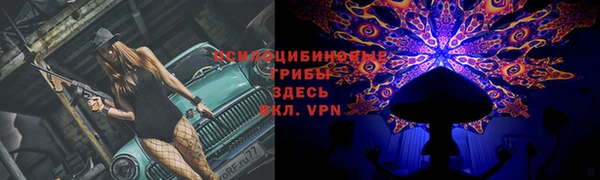 герыч Богданович