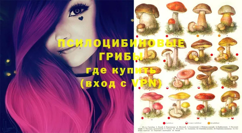 OMG зеркало  Балабаново  Псилоцибиновые грибы Magic Shrooms 